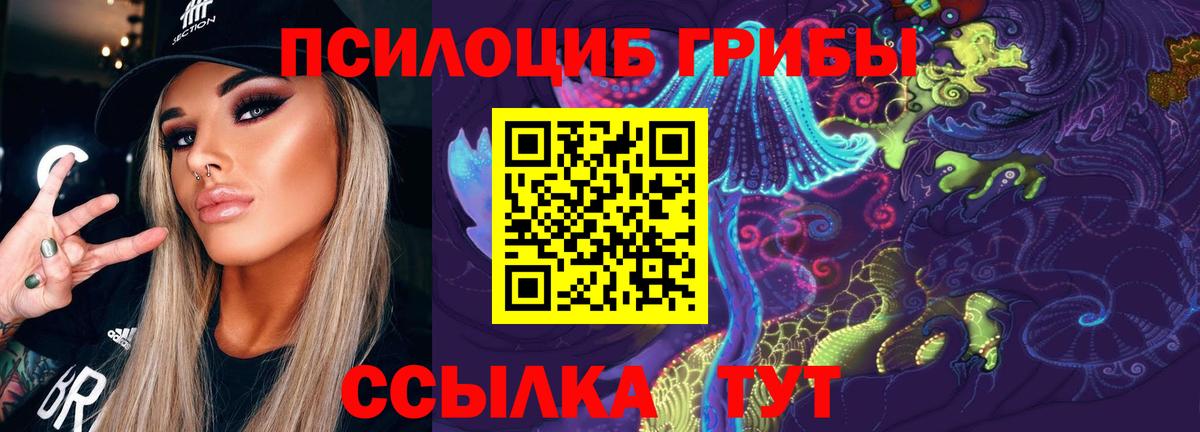 Псилоцибиновые грибы прущие грибы  Вход с VPN  Тимашёвск 