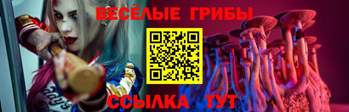 Псилоцибиновые грибы ЛСД Тимашёвск